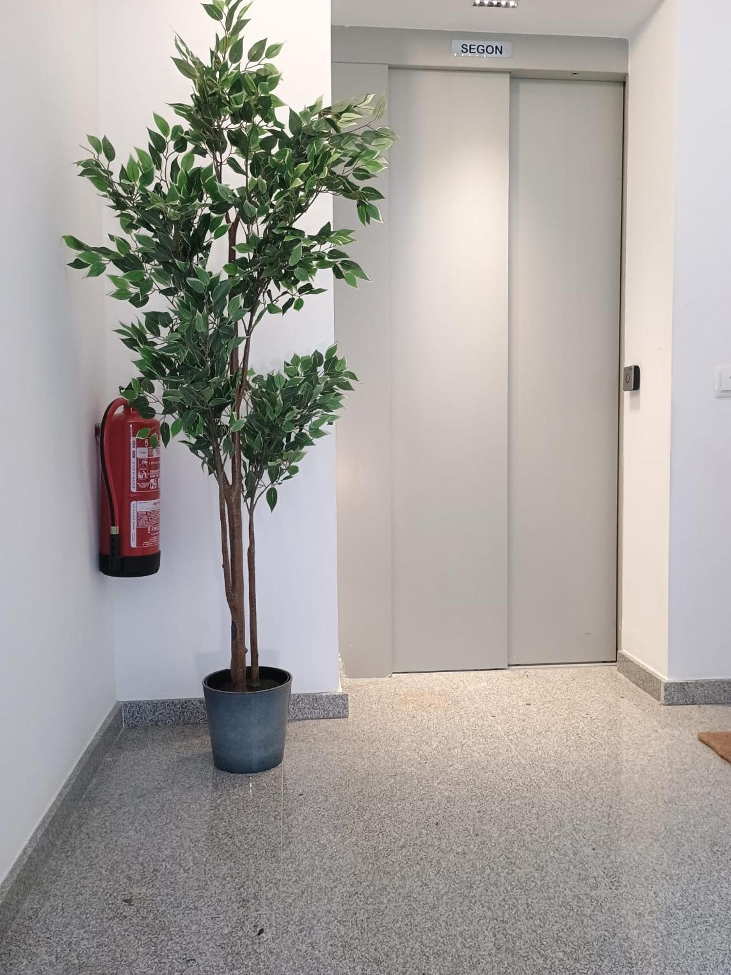 Centric Apartment Camp Nou Οσπιταλέτ ντε Λιοβρεγάτ Εξωτερικό φωτογραφία