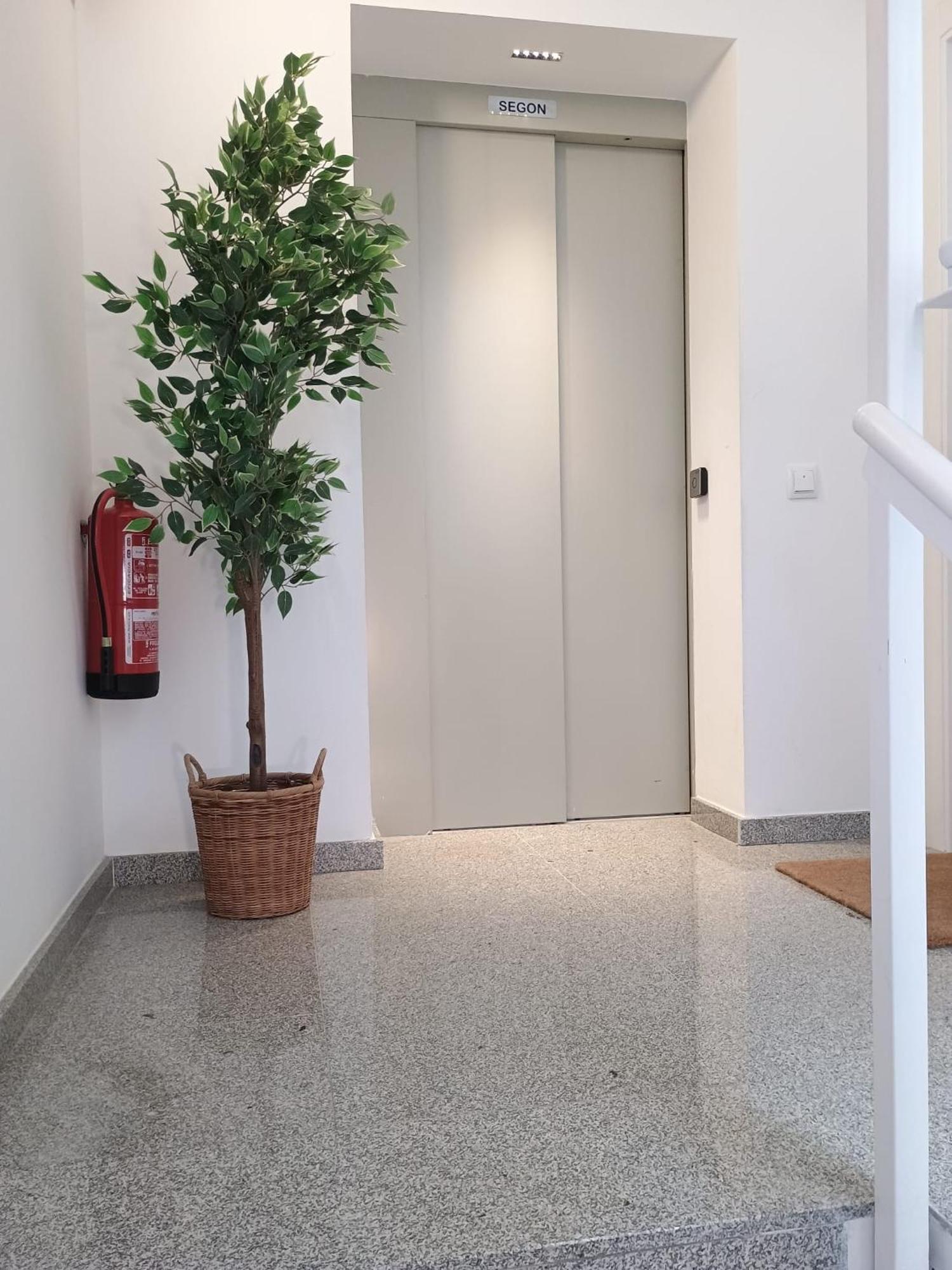 Centric Apartment Camp Nou Οσπιταλέτ ντε Λιοβρεγάτ Εξωτερικό φωτογραφία
